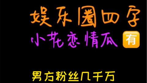 娱乐圈吃瓜词语,揭秘明星幕后风云