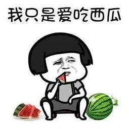 娱乐吃瓜人,一场场吃瓜盛宴，揭秘明星背后的故事